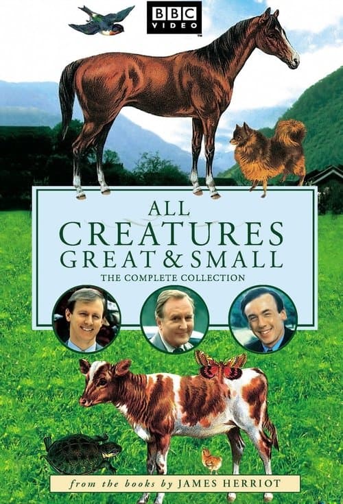 All Creatures Great and Smallのポスター