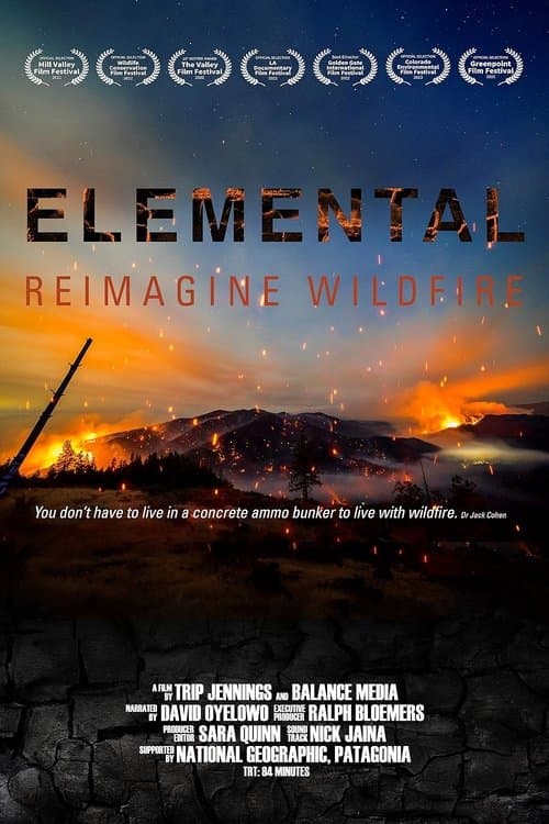 Elemental: Reimagine Wildfireのポスター