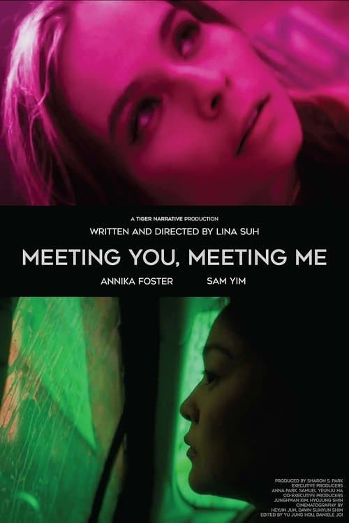 Meeting You, Meeting Meのポスター