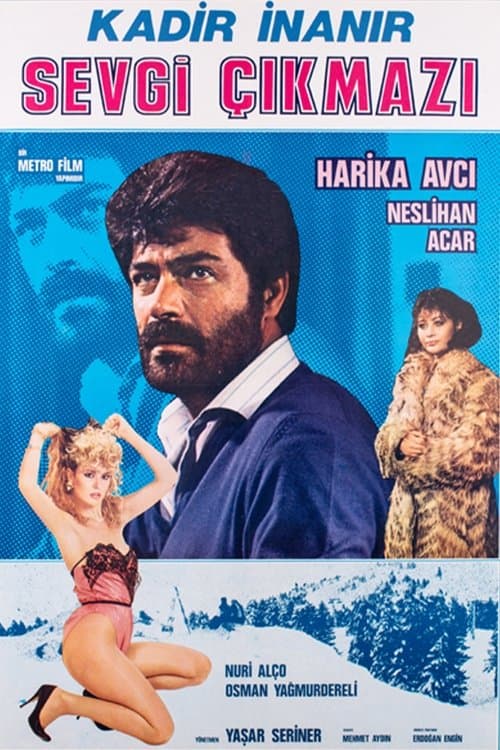 Sevgi Çıkmazıのポスター