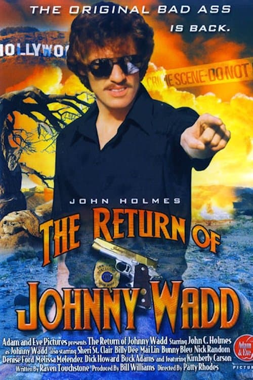 The Return of Johnny Waddのポスター