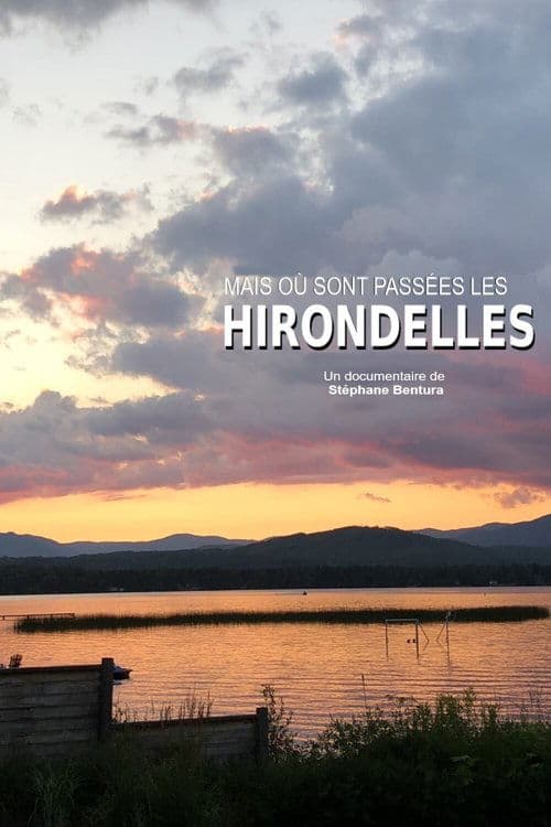 Où sont passées les hirondelles ?のポスター
