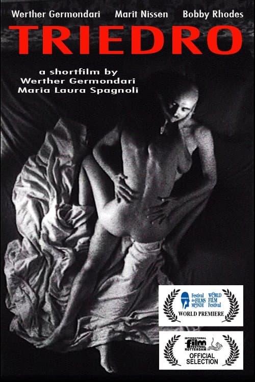 Triedroのポスター