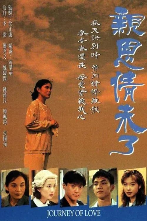 親恩情未了のポスター