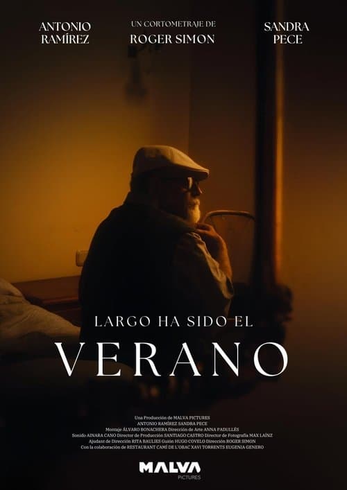 Largo ha sido el Veranoのポスター
