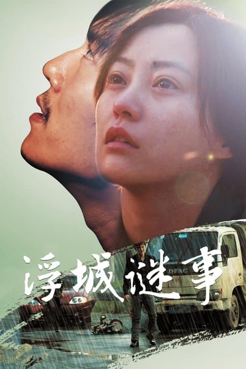 浮城谜事のポスター