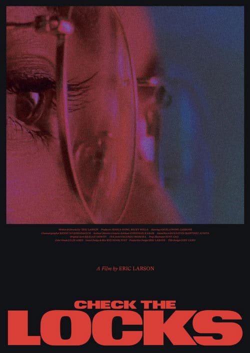 Check the Locksのポスター