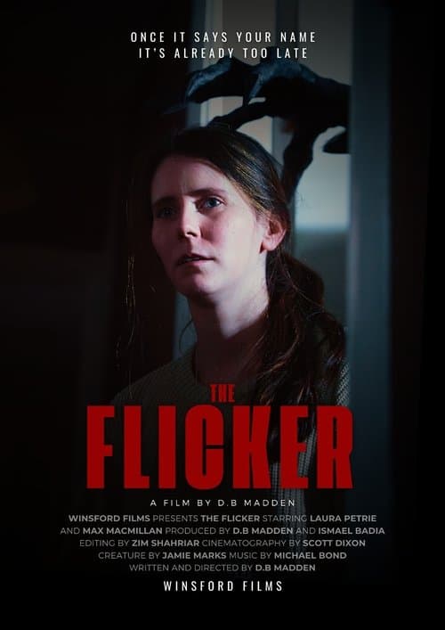 The Flickerのポスター