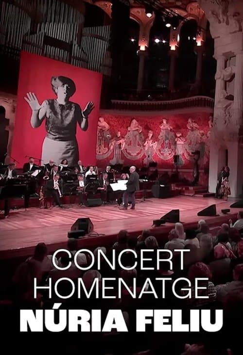 Núria Feliu al Palauのポスター