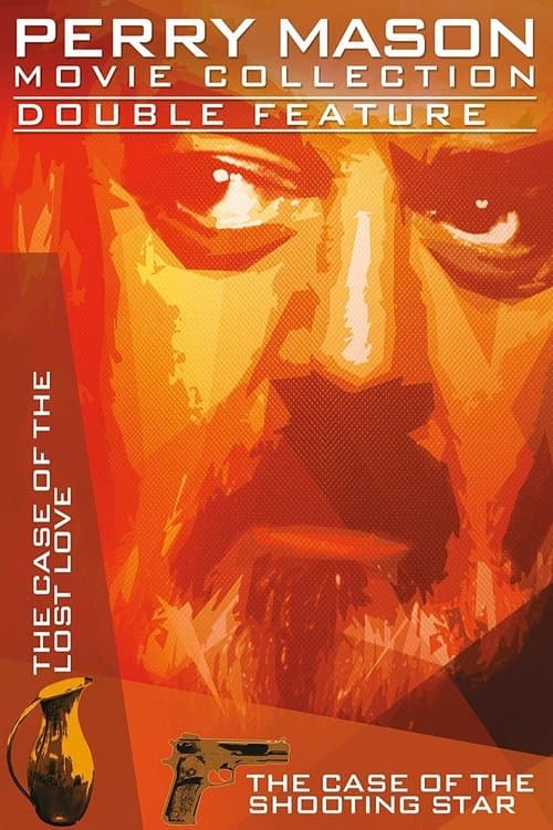 Perry Mason: The Case of the Lost Loveのポスター