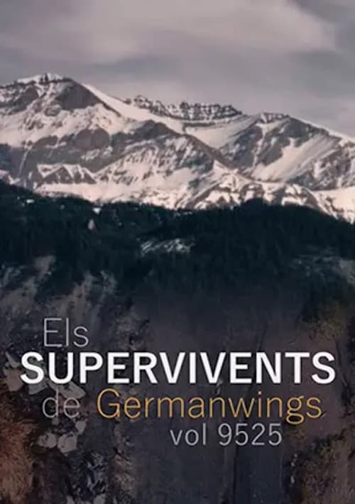 Els supervivents del vol 9525 de Germanwingsのポスター