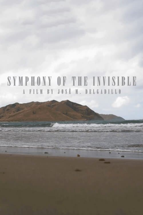 Sinfonía de lo invisibleのポスター