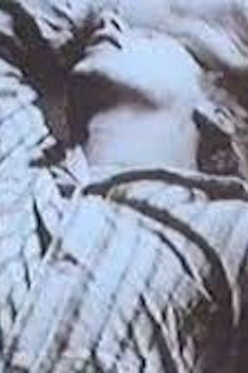 L.S.D.のポスター