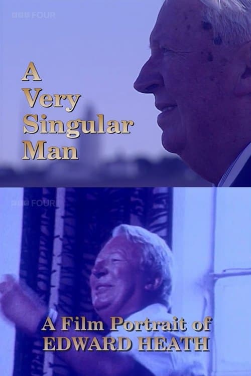 A Very Singular Manのポスター