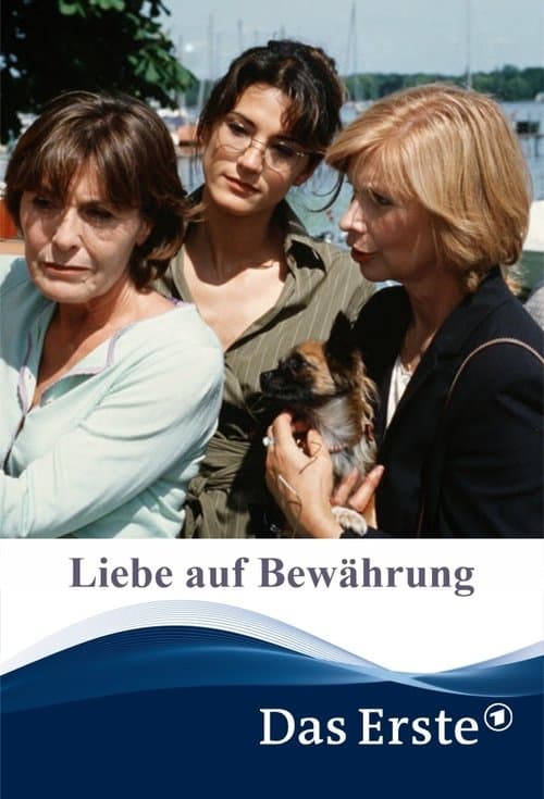 Liebe auf Bewährungのポスター