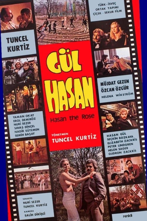 Gül Hasanのポスター