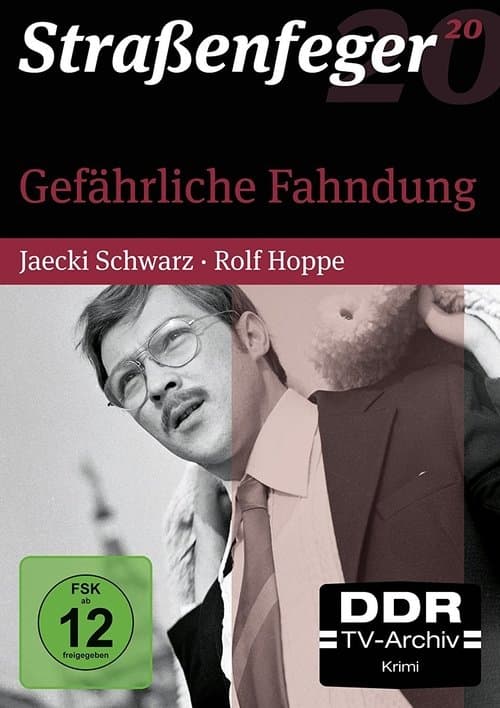 Gefährliche Fahndungのポスター