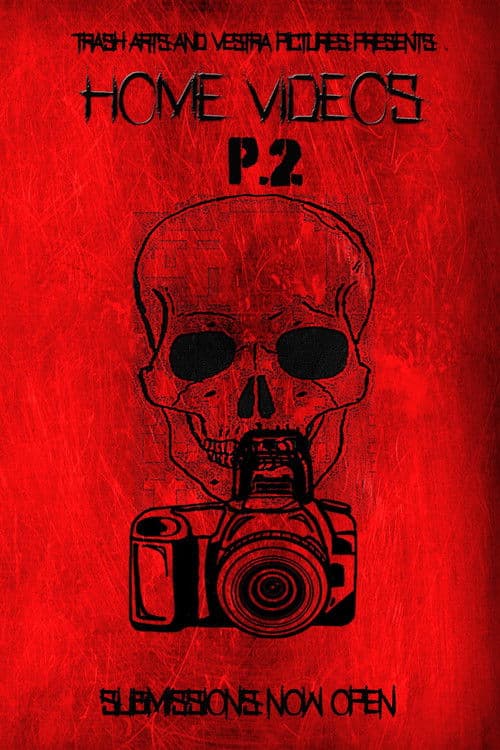 Home Videos 2のポスター