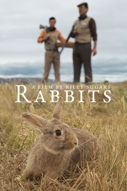 Rabbitsのポスター