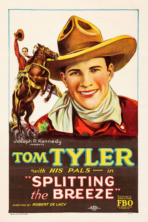 Splitting the Breezeのポスター