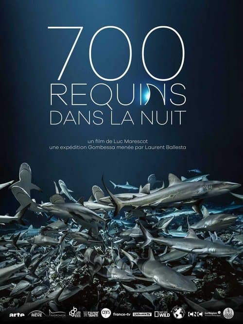 700 requins dans la nuitのポスター
