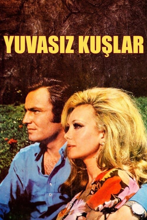 Yuvasız Kuşlarのポスター