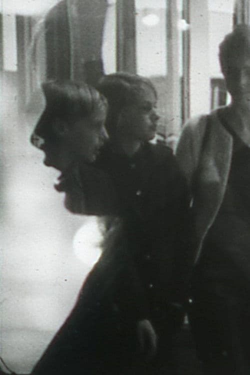 Image, Flesh and Voiceのポスター