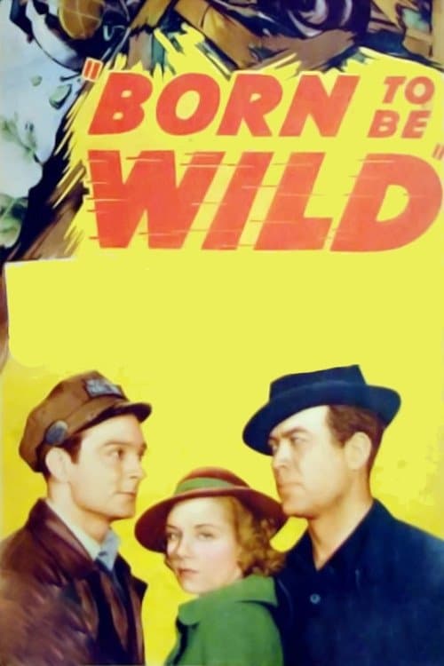Born to Be Wildのポスター