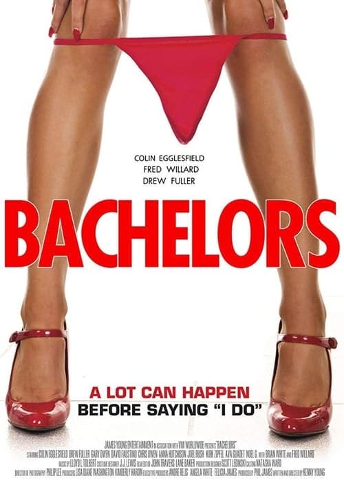 Bachelorsのポスター