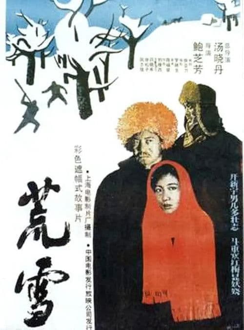 荒雪のポスター