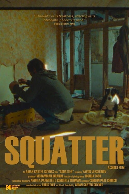 Squatterのポスター