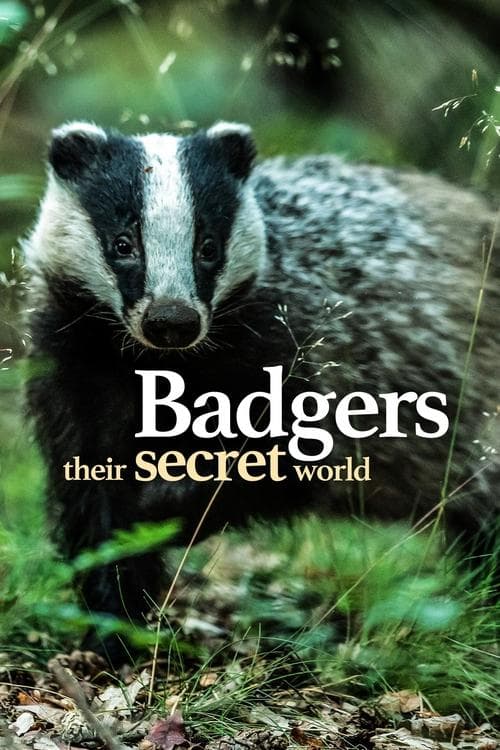 Badgers: Their Secret Worldのポスター