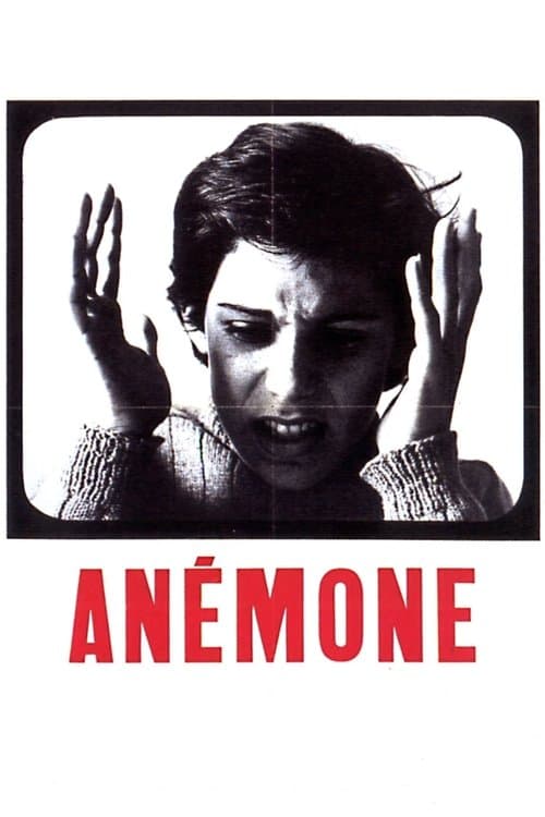 Anémoneのポスター