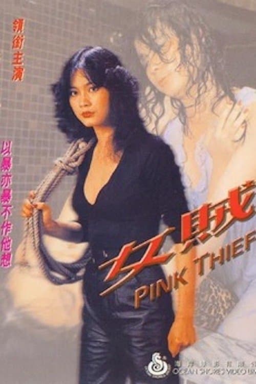 女賊のポスター