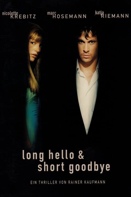 Long Hello and Short Goodbyeのポスター