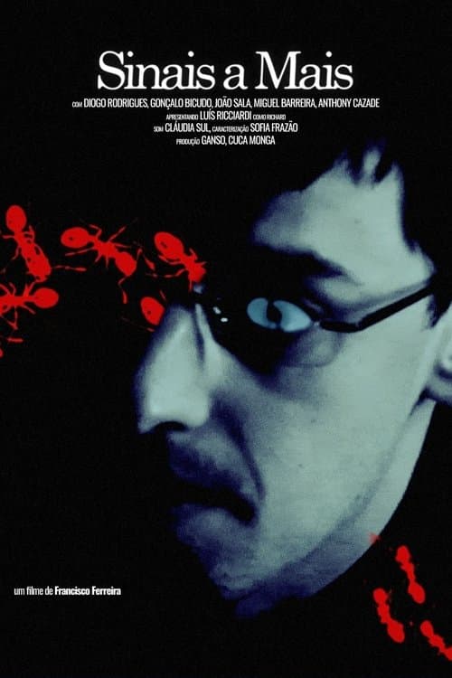Sinais a Maisのポスター