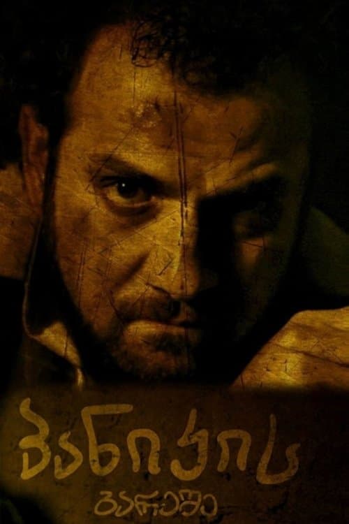 პანიკის გარეშეのポスター