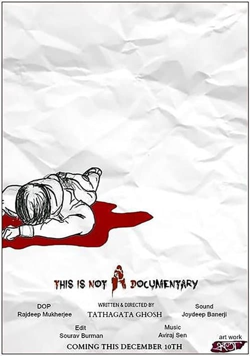 This is not a Documentary!のポスター