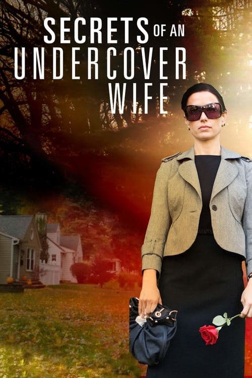 Secrets of an Undercover Wifeのポスター