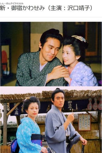 新・御宿かわせみのポスター