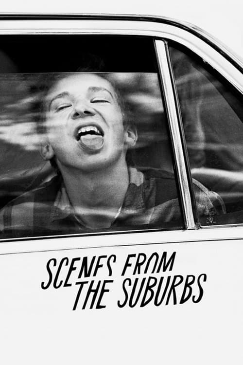 Scenes from the Suburbsのポスター