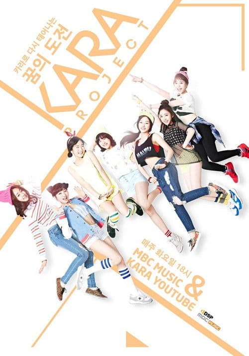 카라 프로젝트のポスター