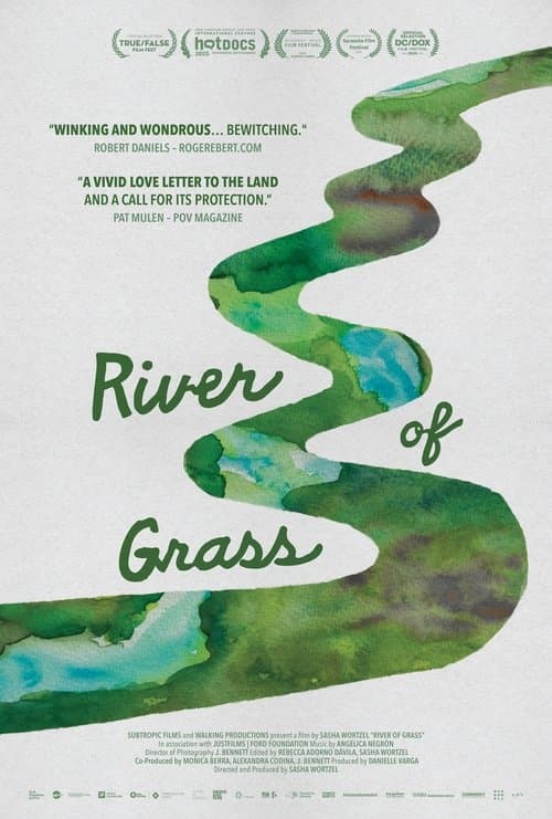 River of Grassのポスター