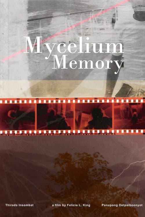 Mycelium Memoryのポスター