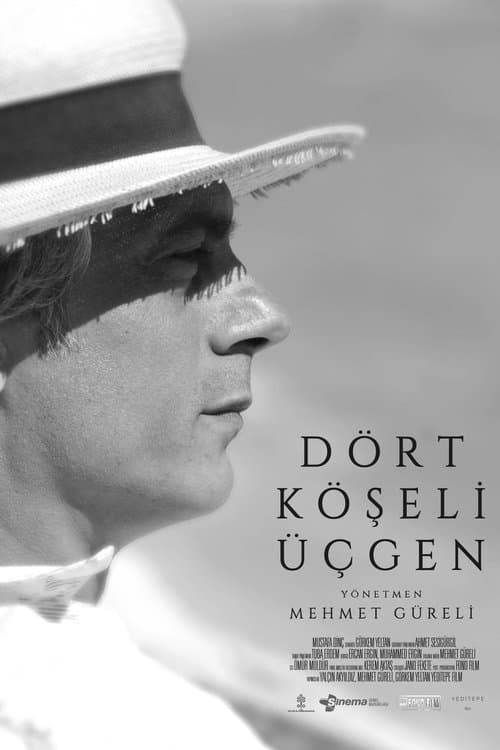 Dört Köşeli Üçgenのポスター