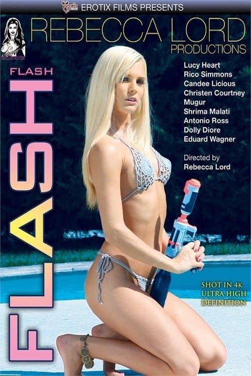 Flashのポスター