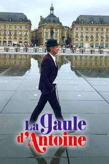 La Gaule d'Antoineのポスター