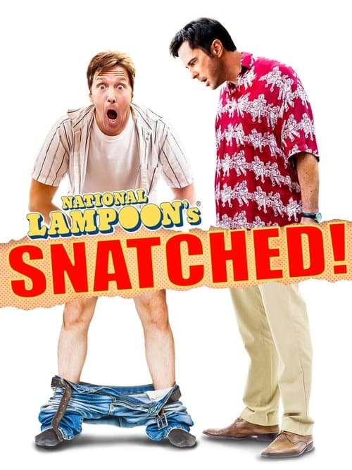 National Lampoon's Snatchedのポスター