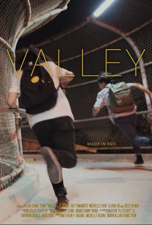 Valleyのポスター