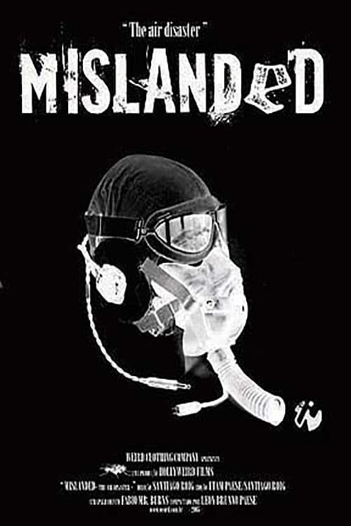 Mislanded: The Air Disasterのポスター